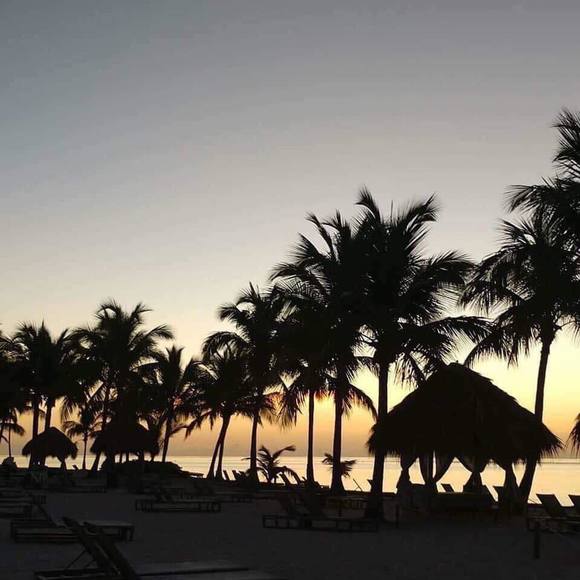 Meet your Posher, James - Picture 1 of 1